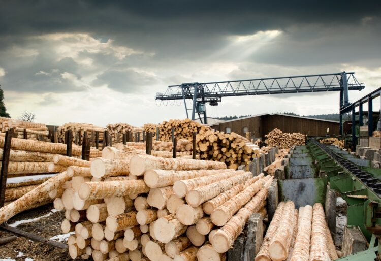 Doslova ze dne na den prudce vzrostly ceny stavebního materiálu. Dřevo zdražilo až o 300 %. A to je prý jenom začátek Nového Zeleného evropského údělu!