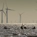 LIVERPOOL, UNITED KINGDOM - AUGUST 04: Kayakers paddle on the Mersey Estuary near the Burbo Bank Offshore Wind Farm on August 04, 2021 in Liverpool, United Kingdom. (Photo by Christopher Furlong/Getty Images)