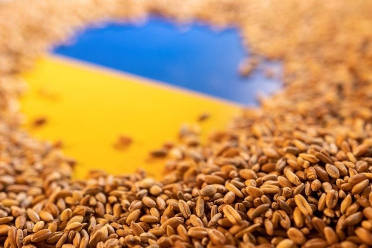 „Jedovatého obilí z Ukrainy je jen trochu“, politici v ODS klidní český národ. Sami ho jistě nejedí, pod vedením cizích pánů k sebedestrukci