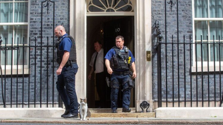 May 1, 2024, London, England, United Kingdom: Larry, the cat of Number 10, is seen in Downing Street.,Image: 869367349, License: Rights-managed, Restrictions: , Model Release: no